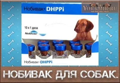 Нобівак для собак, види, інструкція із застосування, ціна