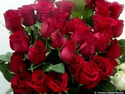 Нема чого - вірші і прозаУкаіни (нема чого) Нема чого - вірші і прозаУкаіни