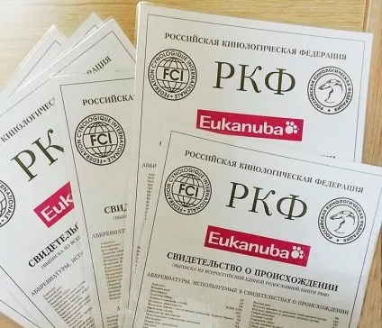 Новини РКФ