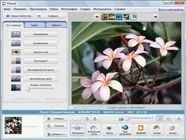 Огляд програмного забезпечення ноутбуків toshiba