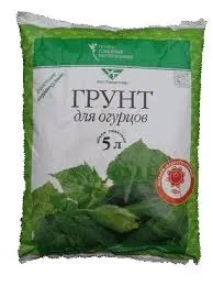 Огірки в мішках вирощування покроковий опис (вирощування огірків мішках) Огірки в мішках вирощування покроковий опис