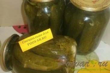 Огірки мариновані з гірчицею рецепт покроково з фото як приготувати готуємо вдома на швидку руку