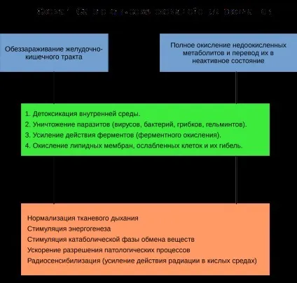 Оксидантним і антиоксидантний терапія (оксидантний антиоксидантний терапія) Оксидантним і антиоксидантний терапія