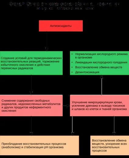 Оксидантним і антиоксидантний терапія (оксидантний антиоксидантний терапія) Оксидантним і антиоксидантний терапія