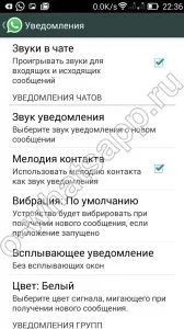 Основні проблеми з whatsapp
