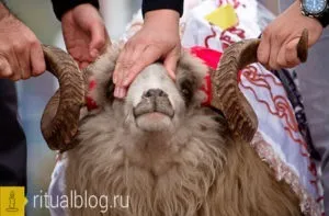 Особливості поминального столу у мусульман прикмети, звичаї, традиції, обов'язкові страви, (стіл) Особливості поминального столу у мусульман прикмети, звичаї, традиції, обов'язкові страви,