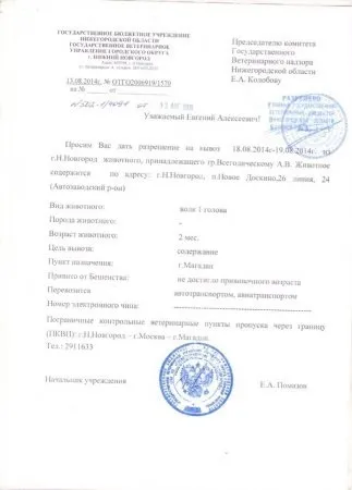 Про зміст вовка
