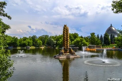 Останкіно- вднх, Київ