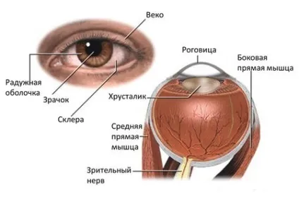 Від чого очі змінюють колір - що за хвороба фото прикладів (колір) Від чого очі змінюють колір - що за хвороба фото прикладів