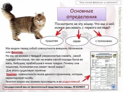 Остерігайтеся обману!