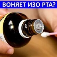 Звідки береться моль в квартирі і як від неї позбутися (квартирі) Звідки береться моль в квартирі і як від неї позбутися