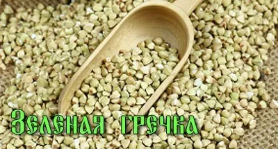 Від гречки тільки користь і ніякої шкоди - дієта і рецепти, лікування в домашніх умовах (тільки) Від гречки тільки користь і ніякої шкоди - дієта і рецепти, лікування в домашніх умовах
