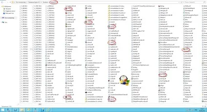 Відкриваємо msc windows оснастки через командний рядок, настройка серверів windows і linux (оснащення) Відкриваємо msc windows оснастки через командний рядок, настройка серверів windows і linux