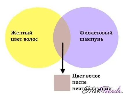 Відтіночний шампунь концепт - палітра, інструкція