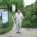 Паренхіма підшлункової залози (дифузних порушень структурі) Паренхіма підшлункової залози