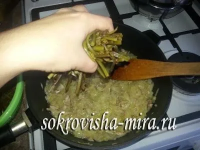 Папороть збираємо, солимо, готуємо