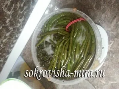 Папороть збираємо, солимо, готуємо