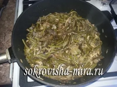 Папороть збираємо, солимо, готуємо