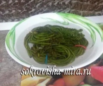 Папороть збираємо, солимо, готуємо