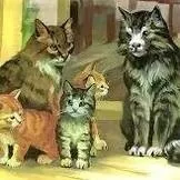 Перший мотоцикл для дівчини