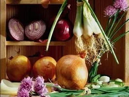 Харчування дітей під час посту