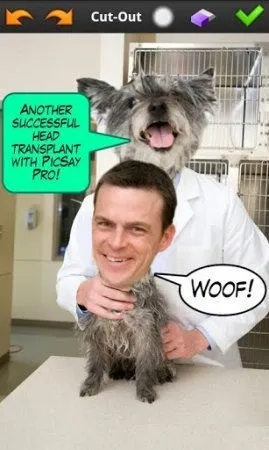 Picsay що це за програма