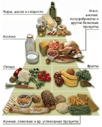 Піраміда харчування - традиційне, всеїдна - харчування (недоліки піраміди харчування) Піраміда харчування - традиційне, всеїдна - харчування