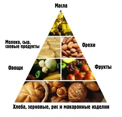 Піраміда харчування - традиційне, всеїдна - харчування (піраміда) Піраміда харчування - традиційне, всеїдна - харчування