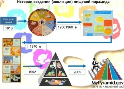 піраміда харчування