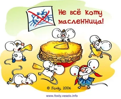Чому говорять «все коту масниця! »(Коту) Чому говорять «все коту масниця! »