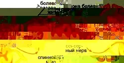 Чому ми відчуваємо біль