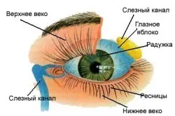 Чому в очах все розпливається