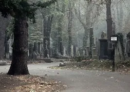 Чому не можна ходити на цвинтар в середу, нашептала (ходити) Чому не можна ходити на цвинтар в середу, нашептала
