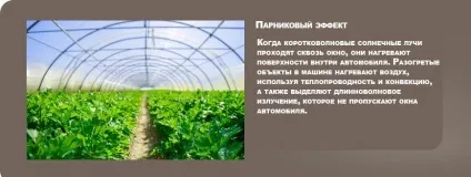 Чому не можна залишати собаку в машині (собаку) Чому не можна залишати собаку в машині