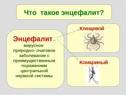 Чому зіниці різного розміру (анізокорія) причини, симптоми, лікування у дорослого і дитини, (різного) Чому зіниці різного розміру (анізокорія) причини, симптоми, лікування у дорослого і дитини,