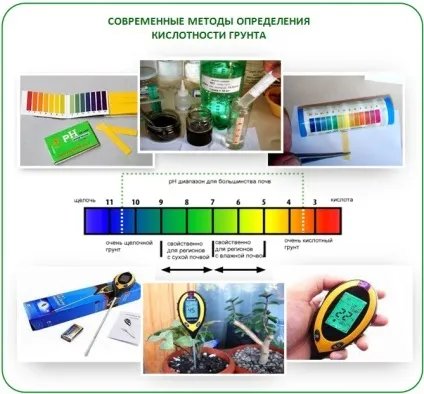 Чому зеленіє земля в теплиці і як з цим боротися кращі методи (земля) Чому зеленіє земля в теплиці і як з цим боротися кращі методи