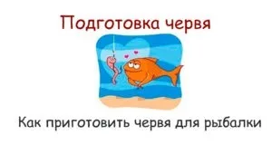 Підготовка хробака або як приготувати хробака для риболовлі, черви гумус (хробака перед риболовлею) Підготовка хробака або як приготувати хробака для риболовлі, черви гумус