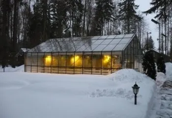 Підживлення огірків в теплиці з полікарбонату (підгодівля) Підживлення огірків в теплиці з полікарбонату