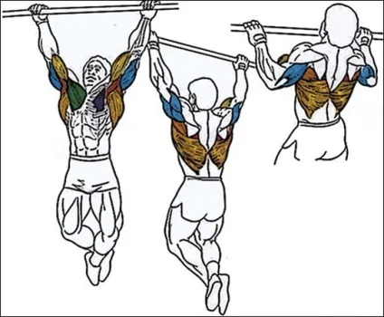Підтягування на перекладині, wolf workout (workout) Підтягування на перекладині, wolf workout