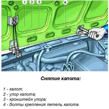 Фарбування капота автомобіля своїми руками докладна інструкція і тонкощі роботи (фарбування) Фарбування капота автомобіля своїми руками докладна інструкція і тонкощі роботи