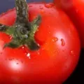 Користь грибів для організму людини (людини) Користь грибів для організму людини