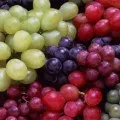 Користь грибів для організму людини (людини) Користь грибів для організму людини