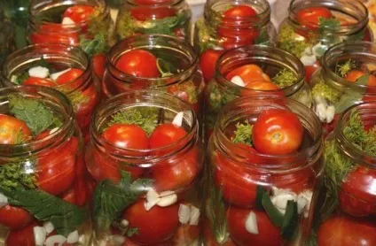Помідори з морквяної бадиллям кращі рецепти (помідори) Помідори з морквяної бадиллям кращі рецепти