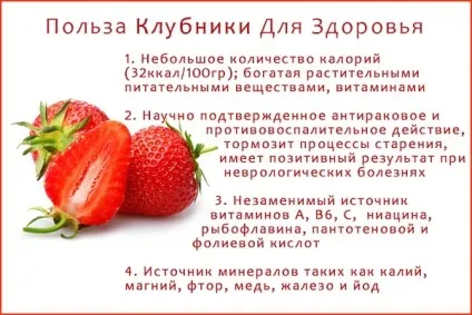 Посадка полуниці насінням на розсаду - дізнайтеся докладну інструкцію (посадка) Посадка полуниці насінням на розсаду - дізнайтеся докладну інструкцію