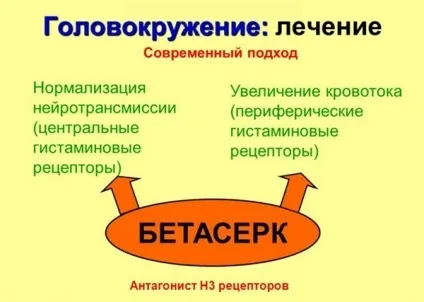 Постійно крутиться голова що це може бути, причини у жінок, літніх, чоловіків