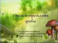 Презентації для дитячого саду - дошкільна освіта