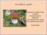 Презентації для дитячого саду - дошкільна освіта
