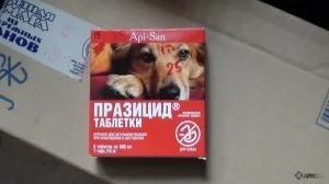 Празіцід (таблетки) для кішок і кошенят, собак і цуценят, відгуки про застосування препаратів для тварин (празіцід) Празіцід (таблетки) для кішок і кошенят, собак і цуценят, відгуки про застосування препаратів для тварин
