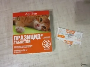 Празіцід (таблетки) для кішок і кошенят, собак і цуценят, відгуки про застосування препаратів для тварин (празіцід) Празіцід (таблетки) для кішок і кошенят, собак і цуценят, відгуки про застосування препаратів для тварин
