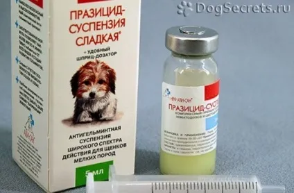 Празіцід суспензія для собак і цуценят інструкція, ціна, відгуки (суспензія) Празіцід суспензія для собак і цуценят інструкція, ціна, відгуки